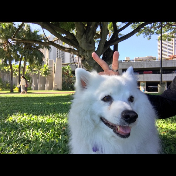 Meet your Posher, Kandyce - Picture 4 of 5